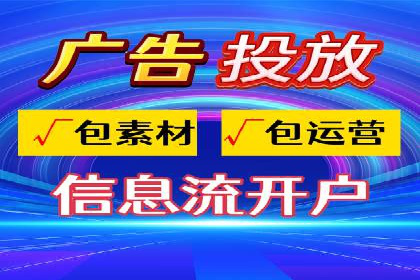SEO百度推广策略：成功案例解析